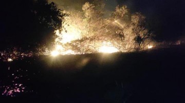 Incndio destri rea verde em Osvaldo Cruz
