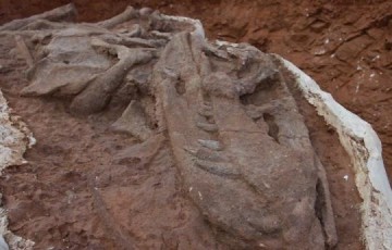 Escavao de fsseis de dinossauro  retomada em Marlia