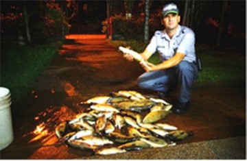 Ambiental multa trs pessoas por transporte ilegal de peixes em Salmouro