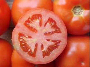 Preo do tomate comea a ficar menor em julho