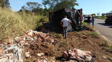 Caminhoneiro perde o controle e tomba caminho com carga de couro na SP-294 em Parapu