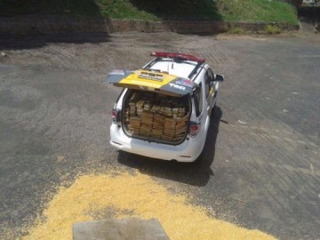 Polcia apreende 333 kg de cocana em meio a carga de milho