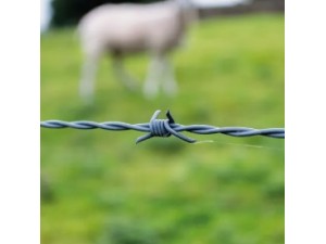 Polcia Civil investiga furto de mais de 20 cabeas de gado nelore, em Presidente Venceslau